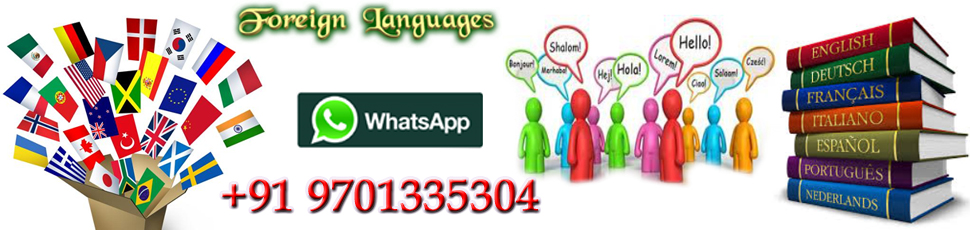 <span style='font-size:17px;'><strong>French Language Class</strong></span><br />Ielts,spanish,german,french class